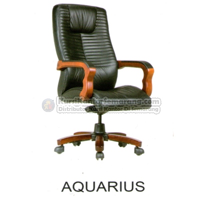 Kursi Direktur Fantoni Aquarius